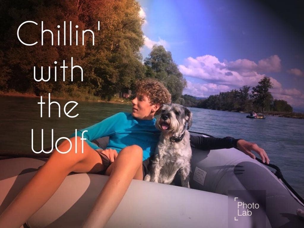 Aarebootsvermietung — Chillin' with the Wolf on the Aare